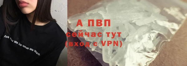 ПСИЛОЦИБИНОВЫЕ ГРИБЫ Грязовец
