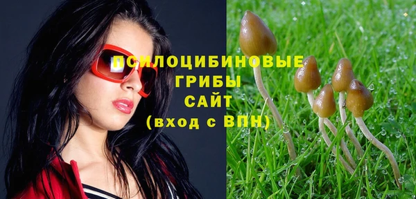 МДПВ Заволжск