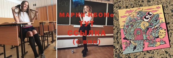 ПСИЛОЦИБИНОВЫЕ ГРИБЫ Грязовец