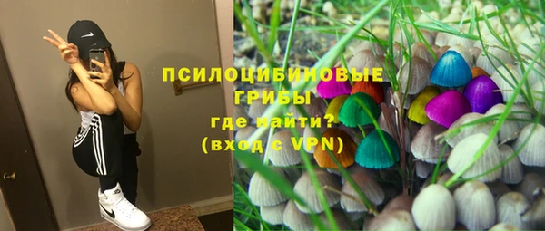 стаф Заводоуковск