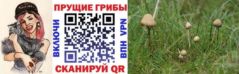 Псилоцибиновые грибы мухоморы  Исилькуль 